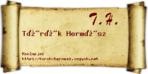 Török Hermész névjegykártya
